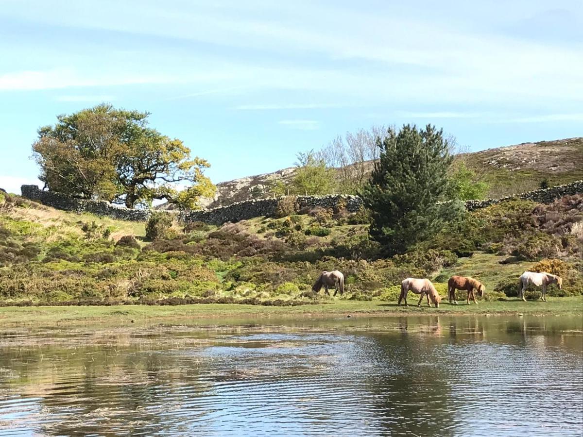 River Cottage Conwy Eksteriør bilde